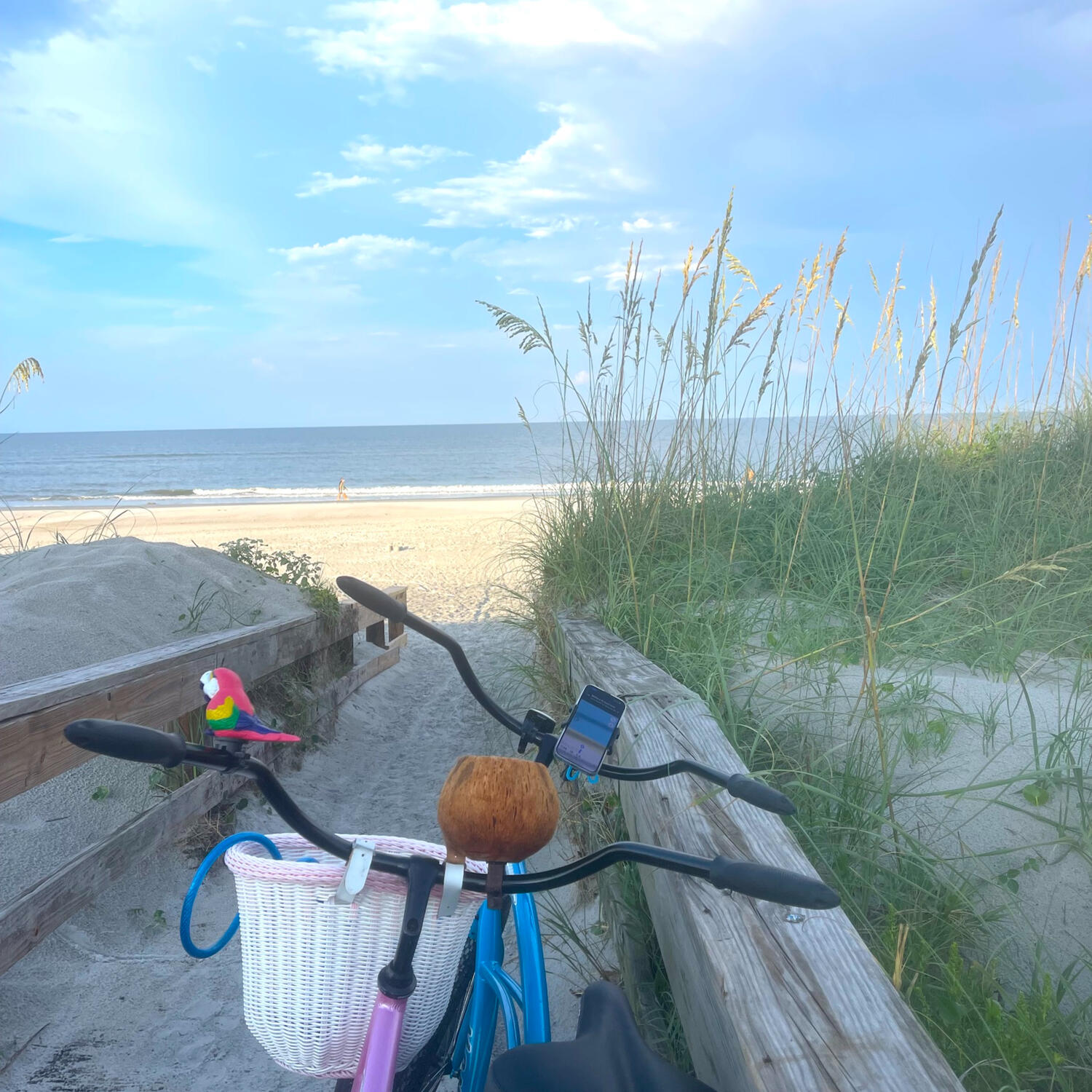 sunny beach day adventure